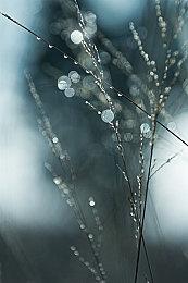 《艾尔登法环》现已送厂压盘 首日补丁制作中